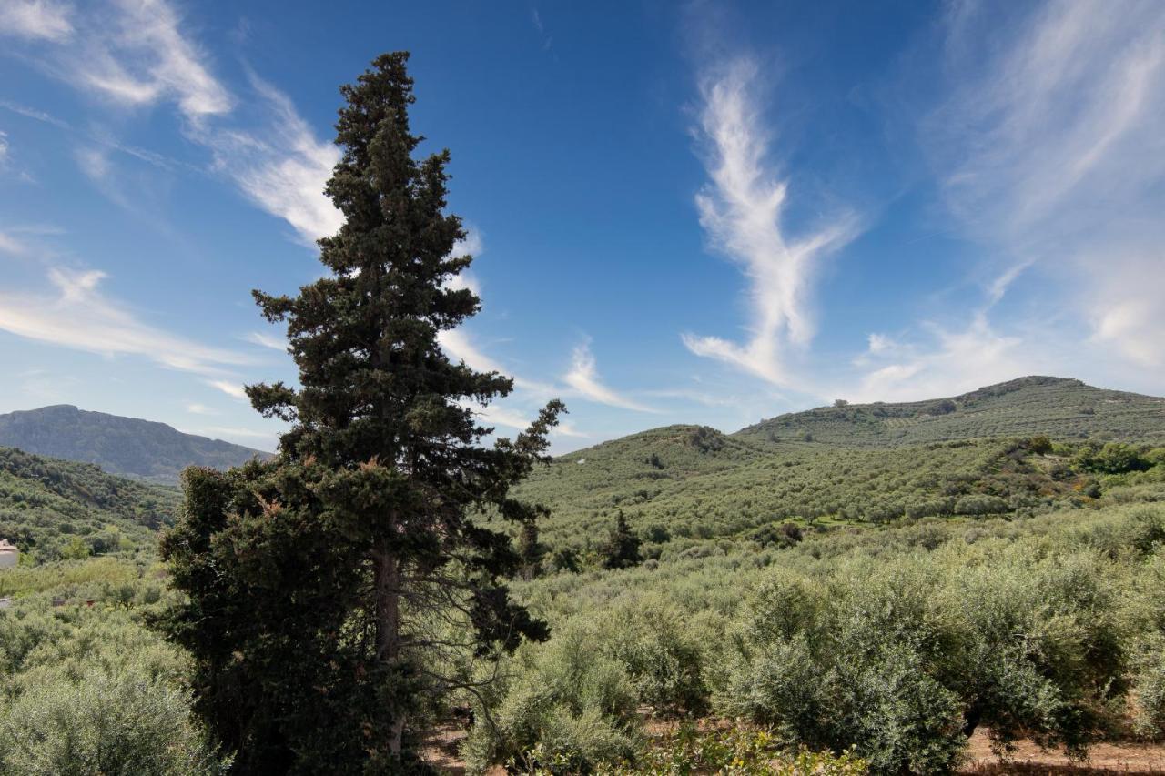 Achilleas Deluxe Αpartment -Pet Friendly-Parking-Mountain View Villa Kotsianá Eksteriør billede