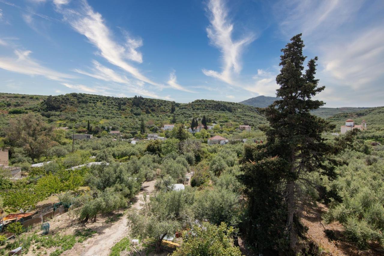 Achilleas Deluxe Αpartment -Pet Friendly-Parking-Mountain View Villa Kotsianá Eksteriør billede