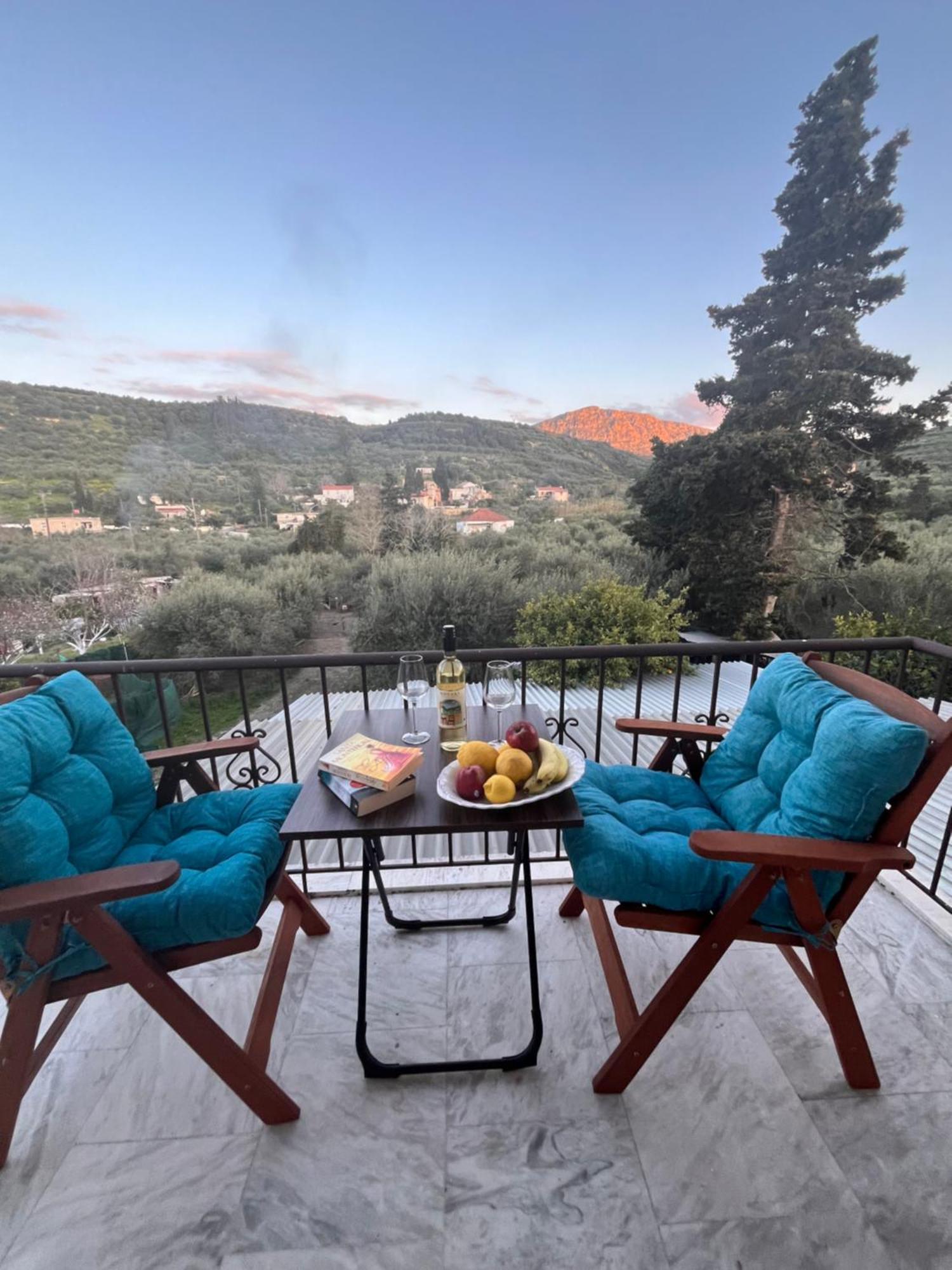 Achilleas Deluxe Αpartment -Pet Friendly-Parking-Mountain View Villa Kotsianá Eksteriør billede