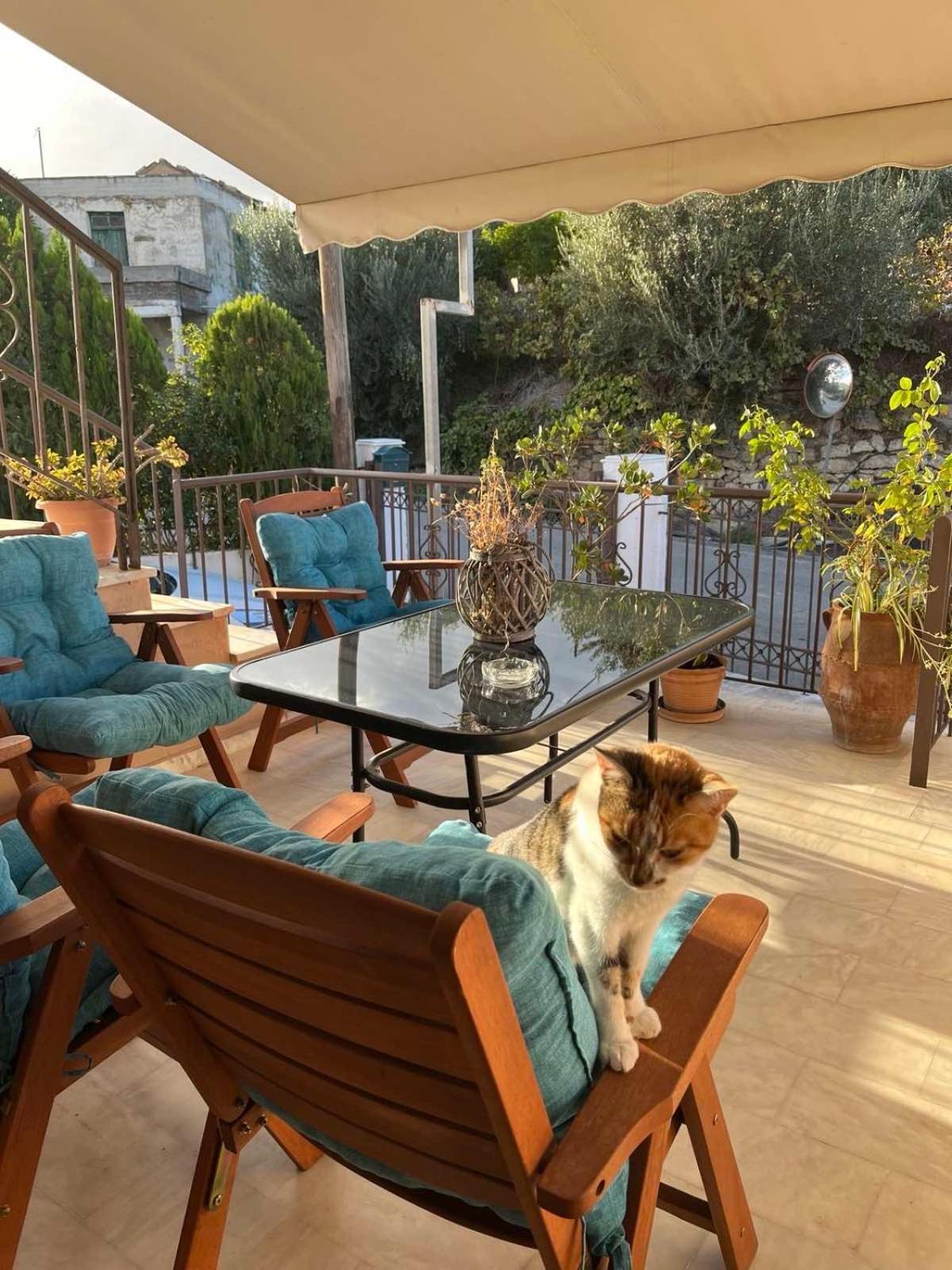 Achilleas Deluxe Αpartment -Pet Friendly-Parking-Mountain View Villa Kotsianá Eksteriør billede