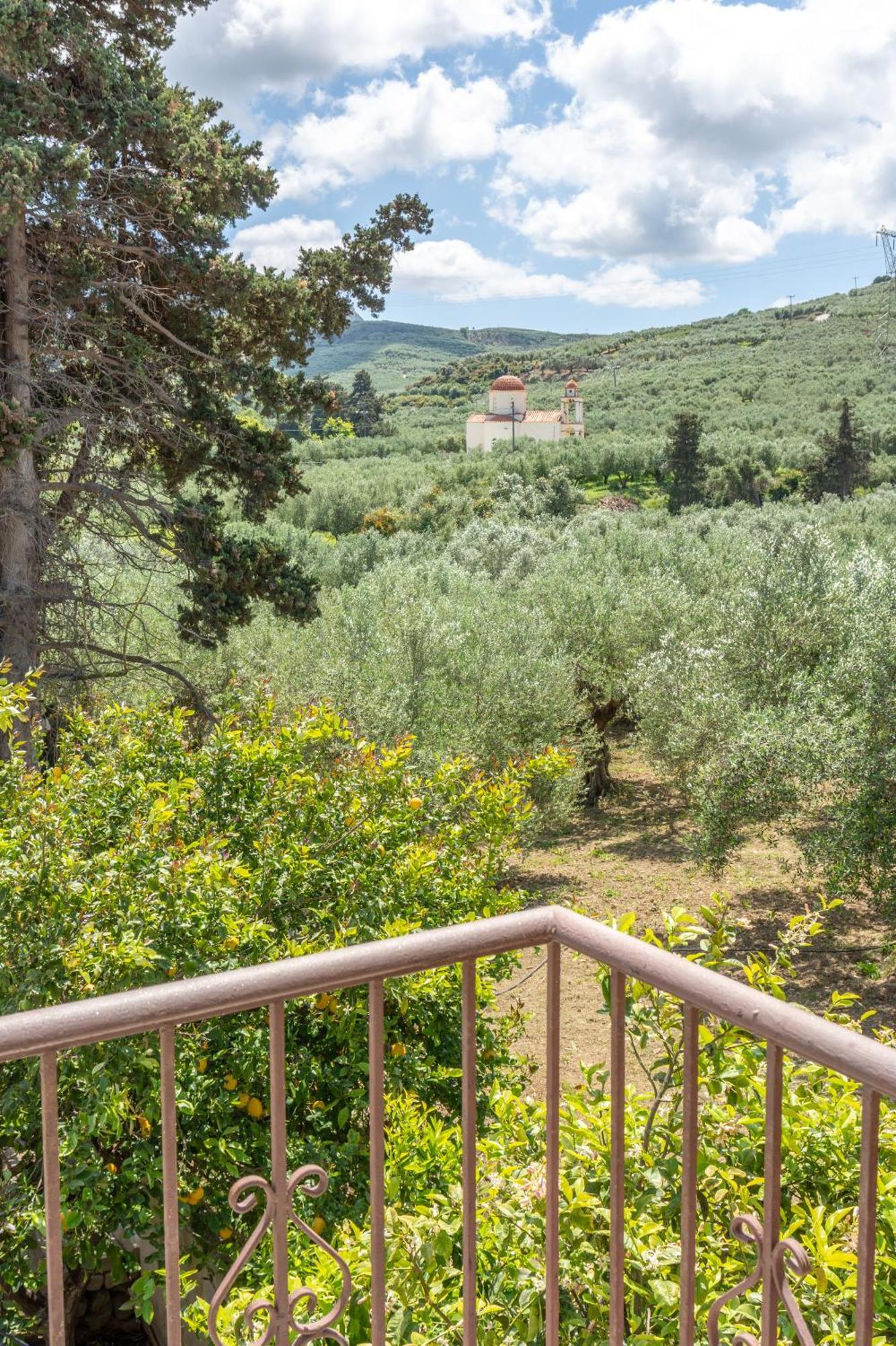 Achilleas Deluxe Αpartment -Pet Friendly-Parking-Mountain View Villa Kotsianá Eksteriør billede